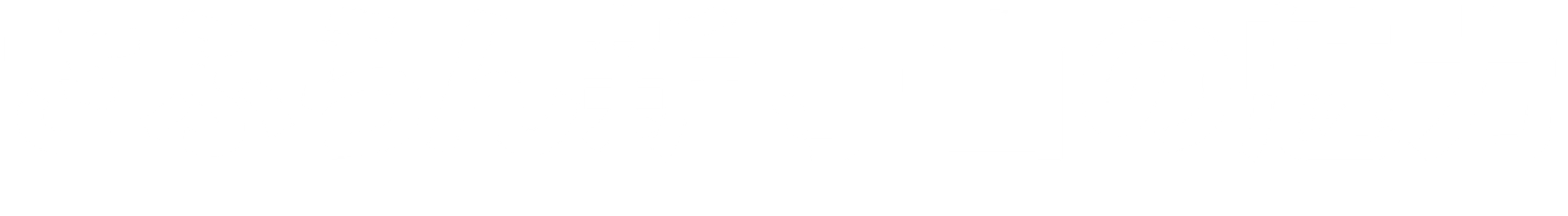 さふらん新守山の魅力